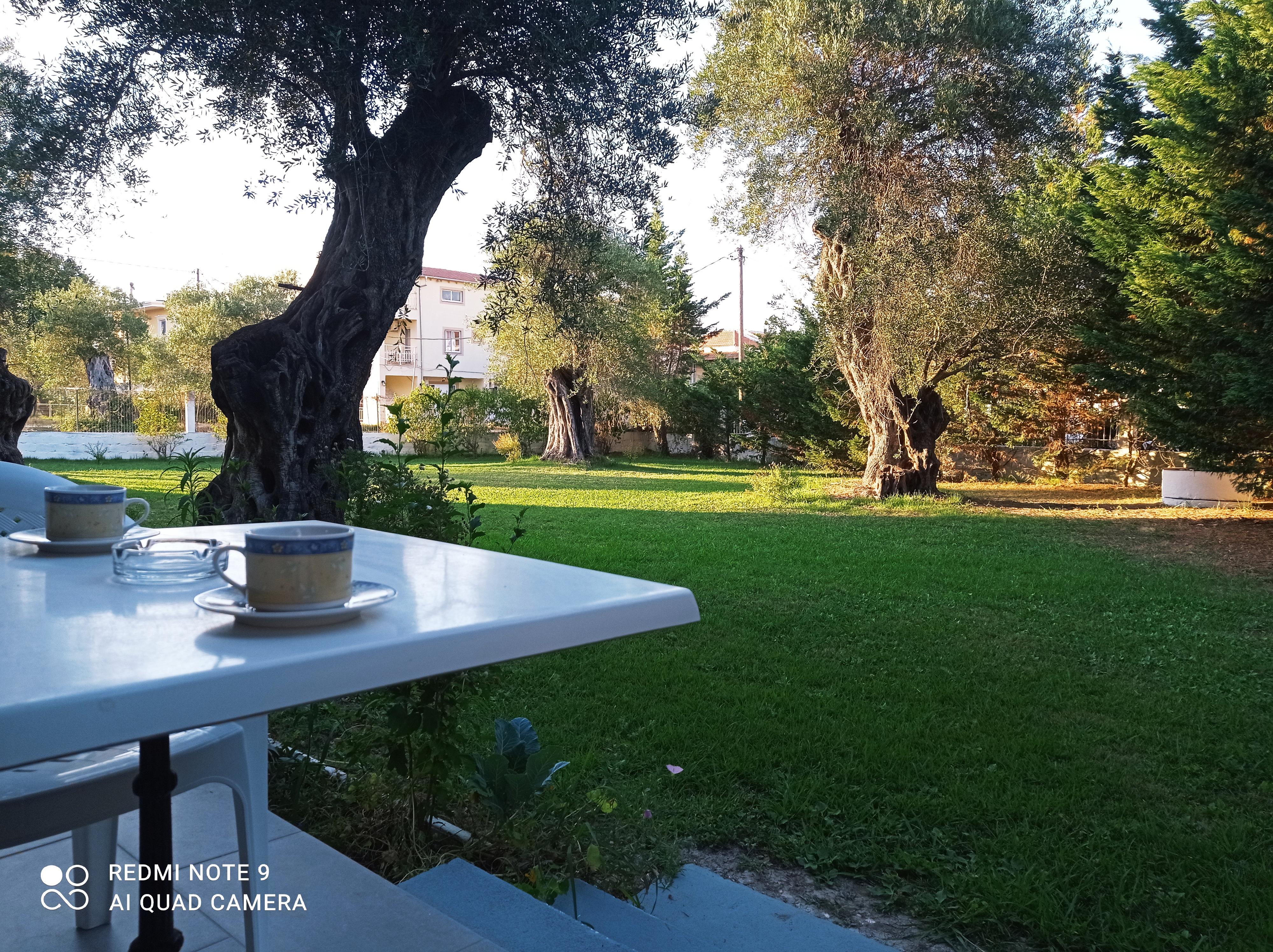 Apartament Natalia